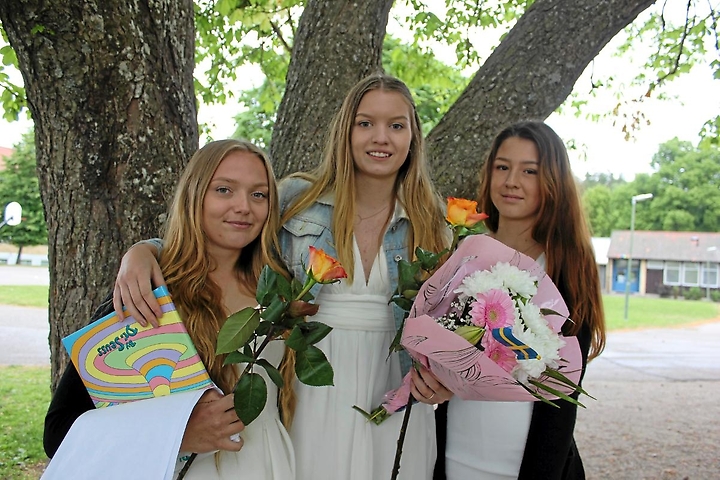 ESM avslutning 2016 2